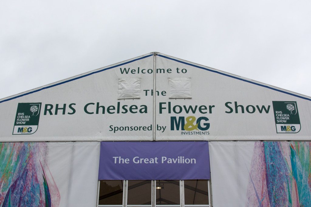 Chelsea Flower Show 2015 by Stephanie Sadler, Little Observationistt