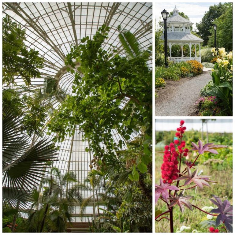 Exploring Buffalo, New York: The Botanical Gardens - Little Observationist